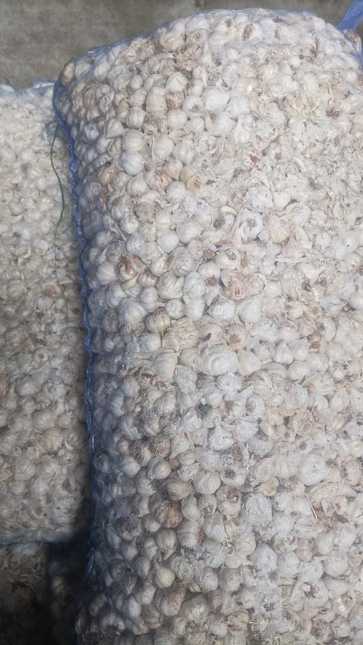 Agro Processing Excellence